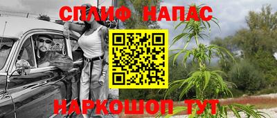 шишки Северобайкальск