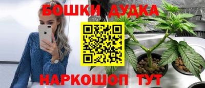 стаф Свободный