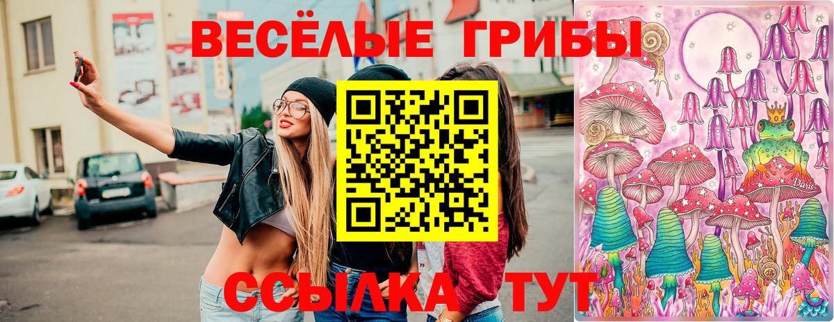 Галлюциногенные грибы Magic Shrooms Обнинск